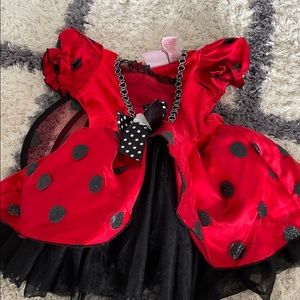 2T ladybug costume